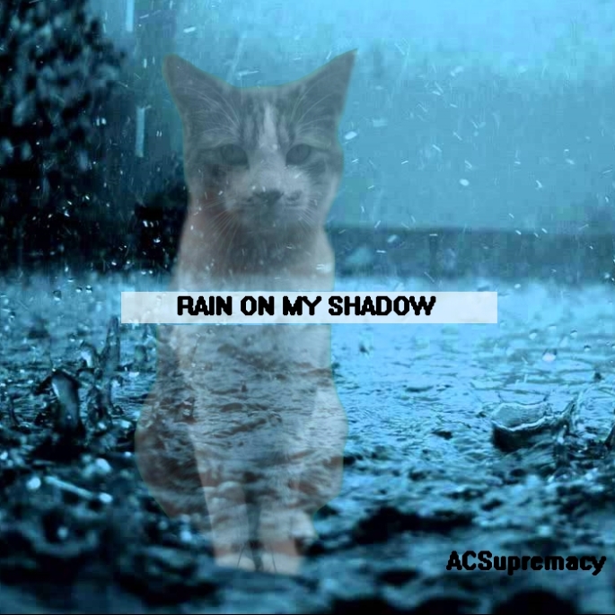 acsupremacy music original song rain on my shadow